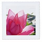 Square dimensions (in inches): 16 L x 16 W, image dimensions (in inches): 14 L x 14 W 100% poloyester; image is soft to touch. Made in USA Edges have pinking shear cut Image will not fade with washing. Image not a transfer, part of material