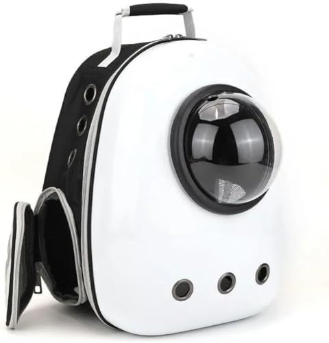 Sefoemut LL[obO LbN LL[ bN FD JvZ y ^p hCu LsO s ʉ@ ЊQ p