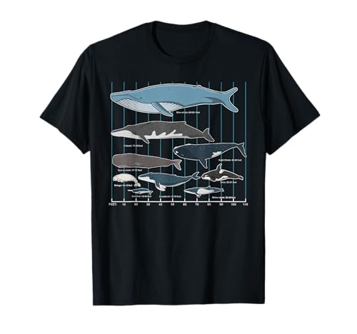 クジラの種類: 海の巨大な住民を発見 クジラの種 海洋生物 Tシャツ
