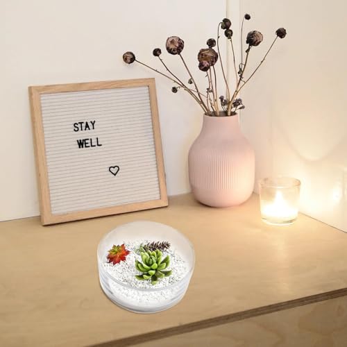 Pot de fleurs en verre transparent observation des racines et hydroponie design - 6