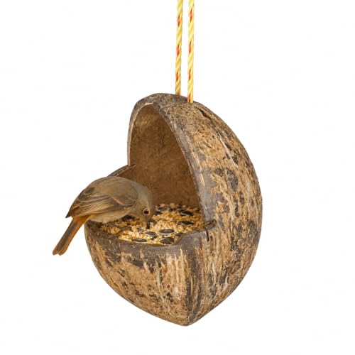 Image of Mithulya Hanging Bird Feeder for Outdoor Garden Brown Color Set of 1 | Bird Feeder