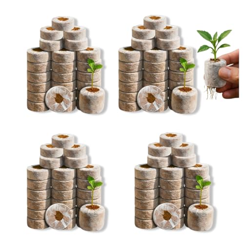 Image of Bombay Greens Organic Netted Cocopeat Coir Discs Seeds Germination pellets Coin Seedling Tray for Plants Indoor and Outdoor Gardening - Pack of 100 Coco Discs