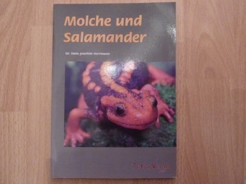 Preisvergleich Produktbild Molche und Salamander