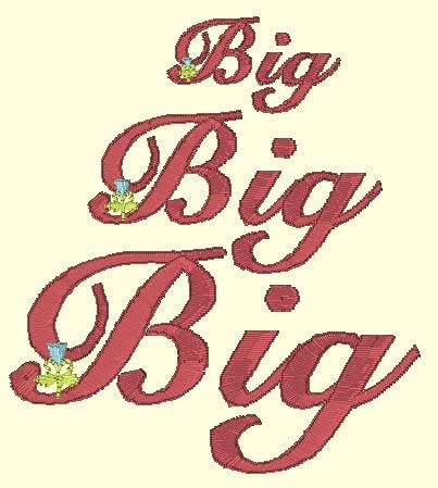 Embrilliance AlphaTricks Embroidery Software for Mac & PC - Image 3