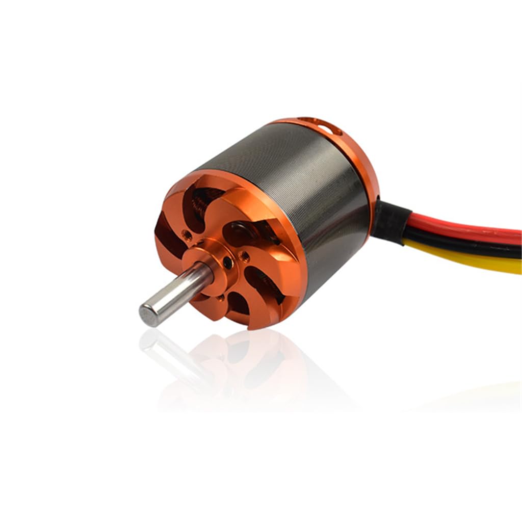 D-Like モーター ブラックリミテッド Real Dri MOTOR 