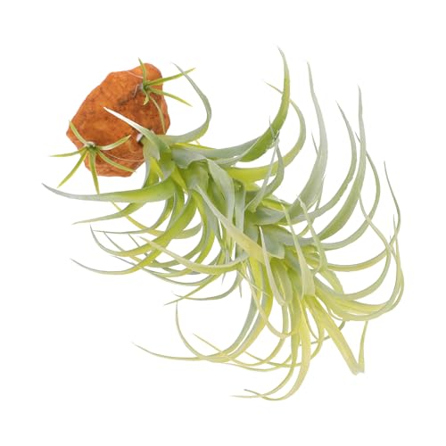 Kichvoe Plante Artificielle Ornementale pour Reptiles et Amphibiens, Plante Grimpante Non Toxique, Décoration Réaliste pour Terrarium et Aquarium, Fournitures pour Habitat Reptile