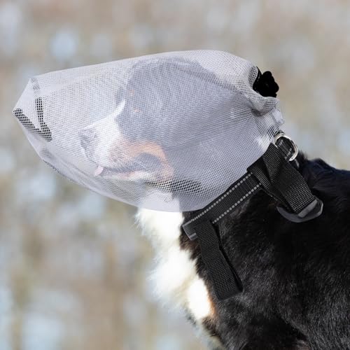 2 Pcs Upgrade Dog Foxtail Mask Dogs Net Mesh Hood with Mouth Zipper Head Face Ear Protector Field Guard Prevent Foxtails Chewing and Licking Allows Panting and Drinking (2 Grey Large)