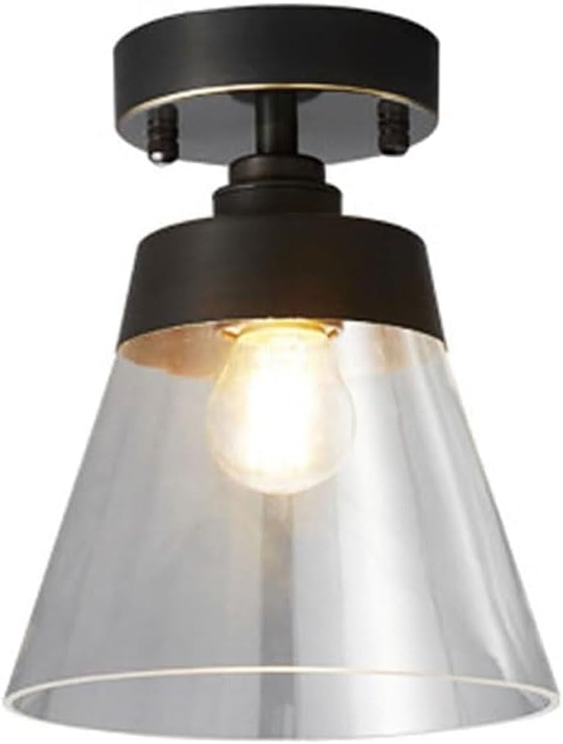 Lámparas de techo modernas para iluminar y decorar la entrada y el pasillo de tu casa