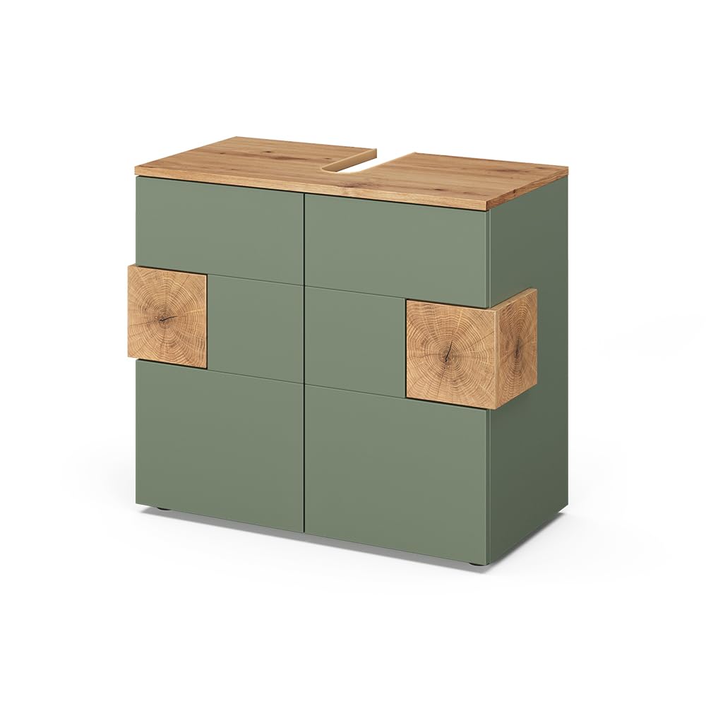 Vicco Meuble Vasque Simple Eden, Vert, 73.1x64cm, pour Montage Mural avec aménagement intérieur modulable