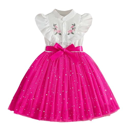Girls Embroidered Ruffle Sleeve A-Line Princess Dress, Elegant Patchwork Tulle Formal Birthday Party Dresses for 3-8 Years