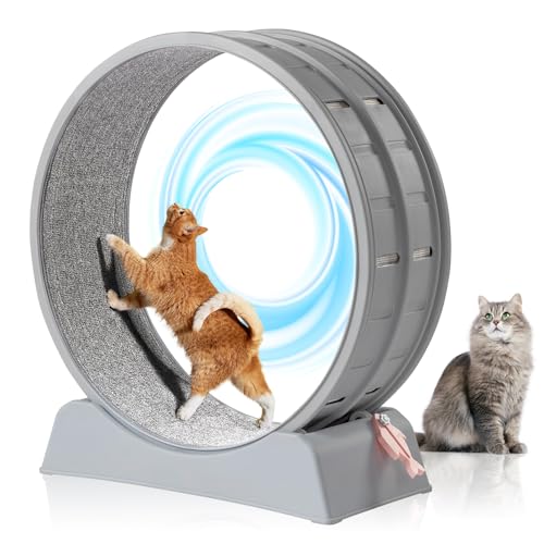 VINGLI Cat Wheel, Cat Treadmill with Carpeted Runway, Cats Running Wheel for Daily Exercise and Weight Loss, Gray