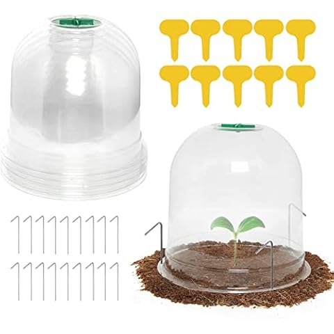 LATERN 6Pcs Garden Plant Cloche, 26cm x 20cm Plant Dome Bell Cover Reusable Plastic Mini Greenhouse for Warming Garden Soil Plants Frost Protect - with 10Pcs Plant Labels, 18Pcs Securing Pegs Cover