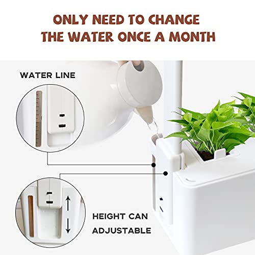 Colmo Indoor Herb Garden Kit With Led Spectrum Hydroponics Growing System Hydroponic Herb Garden Kit Garden Planter In Home Smart Windowsill Herbs Veggies Planter Indoor Planter #TOP1
