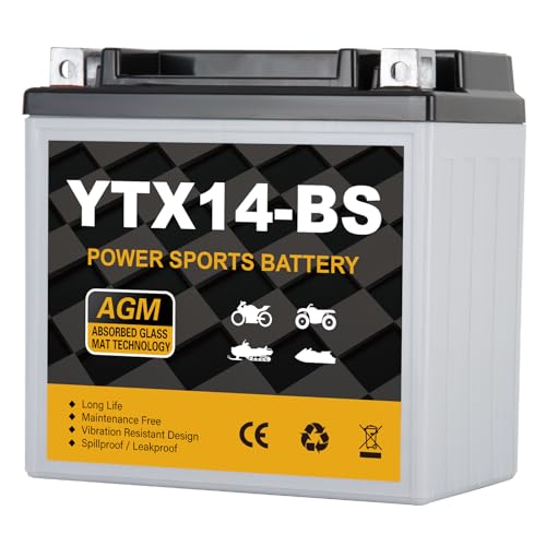 Daakmax YTX14-BS Motorcycle Battery 12V 12Ah, 220 CCA Sealed AGM Rechargeable Maintenance Free Battery, Replacement for ATV, UTV, Scooter, ETX14, GTX14-BS