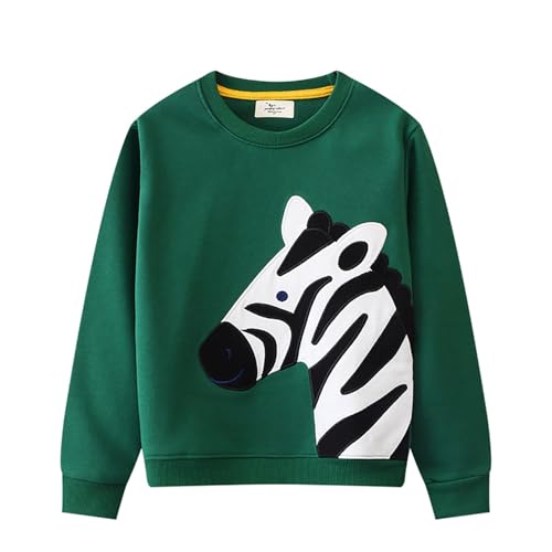 Boys Sweatshirts Casual Sweatshirts Cotton Sweatshirts Long Sleeve T-shirts Crew Neck Cartoon Tops for Boys-463