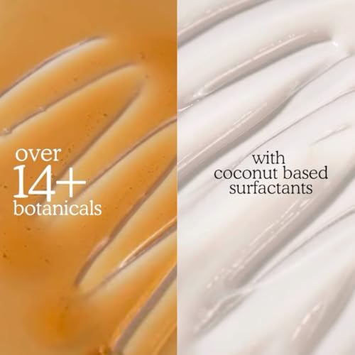 Image of Bitamin Wild Root Natural Body Wash | Moisturising Body Cleanser for Men & Women | Enrichded with Vitamin E and Ceramides for Skin Barrier | Vegan & Toxin Free with Fresh Earthy Fragrance | 400ml