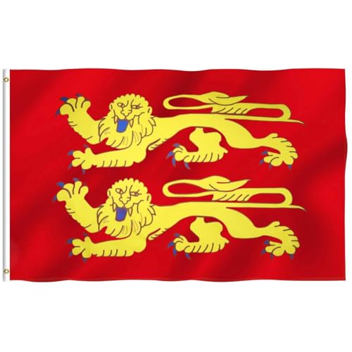 Hollylife Drapeau de la Basse-Normandie 150 x 90 cm avec 2 Œillets Métalliques - France Flag Fanion Tissue pour Festivals, Manif, Decoration Extérieur Jardin