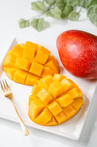 東串良物産館ルピノンの里 丸ごと冷凍マンゴー (計800g・2-3個入り) [入金確認後、1ヶ月以内に発送予定]