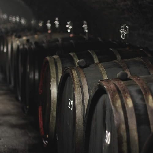 Ferdinand’s | Copper Comb Set Gin | Enthält 1x500ml Saar Dry Gin und 2x Ferdinand’s Copper Comb Glas I Einzigartige Mischung aus 30 Botanicals | 44% vol.