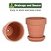 Riseuvo 5 Inch Terra Cotta Pots with Saucer - 6 Pack Clay Flower Pots with Drainage, Great for Plants, Crafts, Wedding Favor (5 inch)