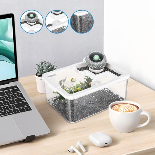 Aquarium table basse avec pompe USB silencieuse pour petit récif