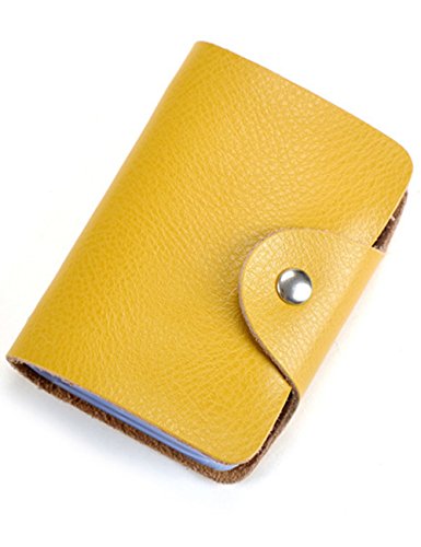 Aladin Unisex Small Leather Credit Card Holder with 26 Plastic Card Slots