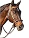 Professional's Choice Loping Hackamore