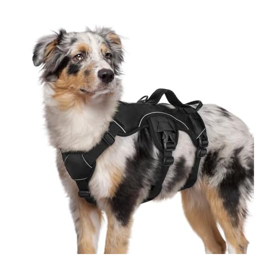 Best Escape Proof Dog Harness Our Top Picks | Dog Harness rabbitgoo Escape Proof Dog Harness, Soft Padded Full Body Pet Harness, Reflective Adjustable No Pull Vest with Lift Handle and Leash Clip for Large Dogs Walking Hiking Training, M, Black