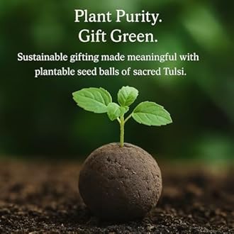 Sow and Grow Plantable Tulsi Seed Balls | Gift Pack of 10 | Individually Packed in Cloth Potlis | Eco-Friendly Beej Balls for Gifting | Grow Holy Basil at Home | Sustainable Return Gift