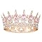 WOVOWOVO Coroa de rainha rosa para mulheres, coroa de princesa, tiara de aniversário para meninas, coroa de casamento com strass, acessórios de cabelo para noiva, fantasia de Halloween, presentes de