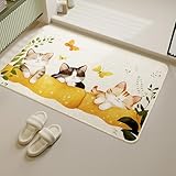 FAUOKAVER 玄関マット 超防滑 TPR底 抗�