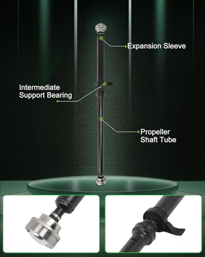 image for SCITOO 61.87