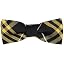 Black and Gold Plaid