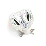  ZUILEE NP23LP (NHSA270) Lámpara de proyector de Repuesto for proyectores NEC NP-P401W NP-P451W NP-P451X NP-P501X NP-PE501X