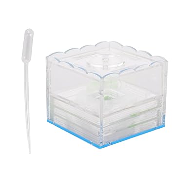 Pet Ants Room, Durable Feeding Ant House, Unique for Ant