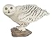 Safari s264729 Wings of The World Schnee-Eule Miniatur