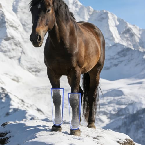Botas de malla para caballos ideales para evitar moscas en el prado este verano 8
