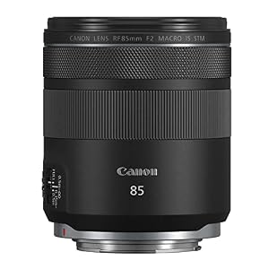 Canon RF85mm F2 Macro is STM Lens — photo 4 of 6