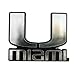Fanmats NCAA Miami Hurricanes Chrome Automobile Emblem, 4" x 3"