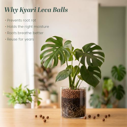 Image of Kyari LECA Balls for Plants 1.8 Kg / 6 Liter - Clay Balls for Indoor Plants, Hydroponics & Soilless Gardening - 8-15 mm Lightweight Clay Pebbles for Aeration & Drainage - 100% Natural