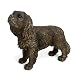 Animal Crackers Cavalier King Charles Spaniel Figur aus der Leonardo Reflections Bronzed Reihe, präsentiert in einer goldenen Geschenkbox