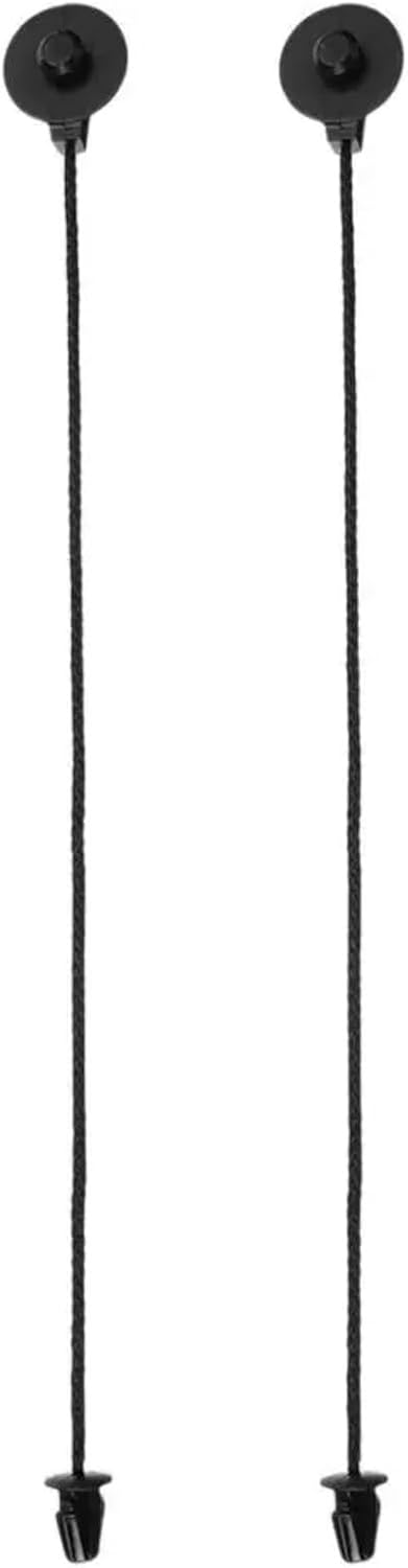 爬虫類ウェットシェルター 目玉焼きベーコントースト デイリー