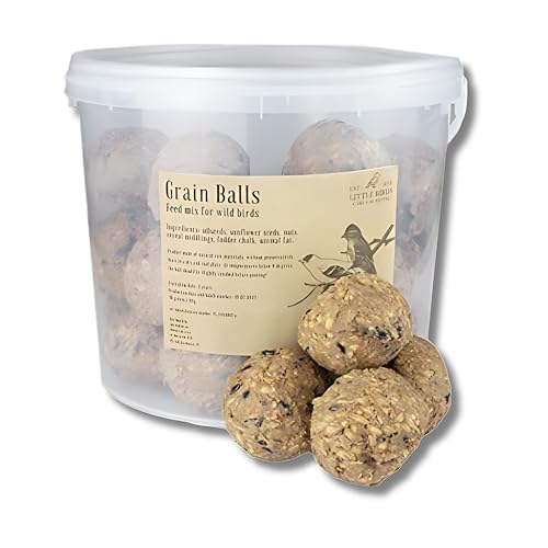 Care4Nature Palline di Grasso per Uccelli 30 Pezzi