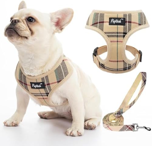 PUPTECK Dog Harness Small Dog Soft Mesh Pet Puppy Cat Comfort Padded Vest No Pull Harnesses and Lead Set