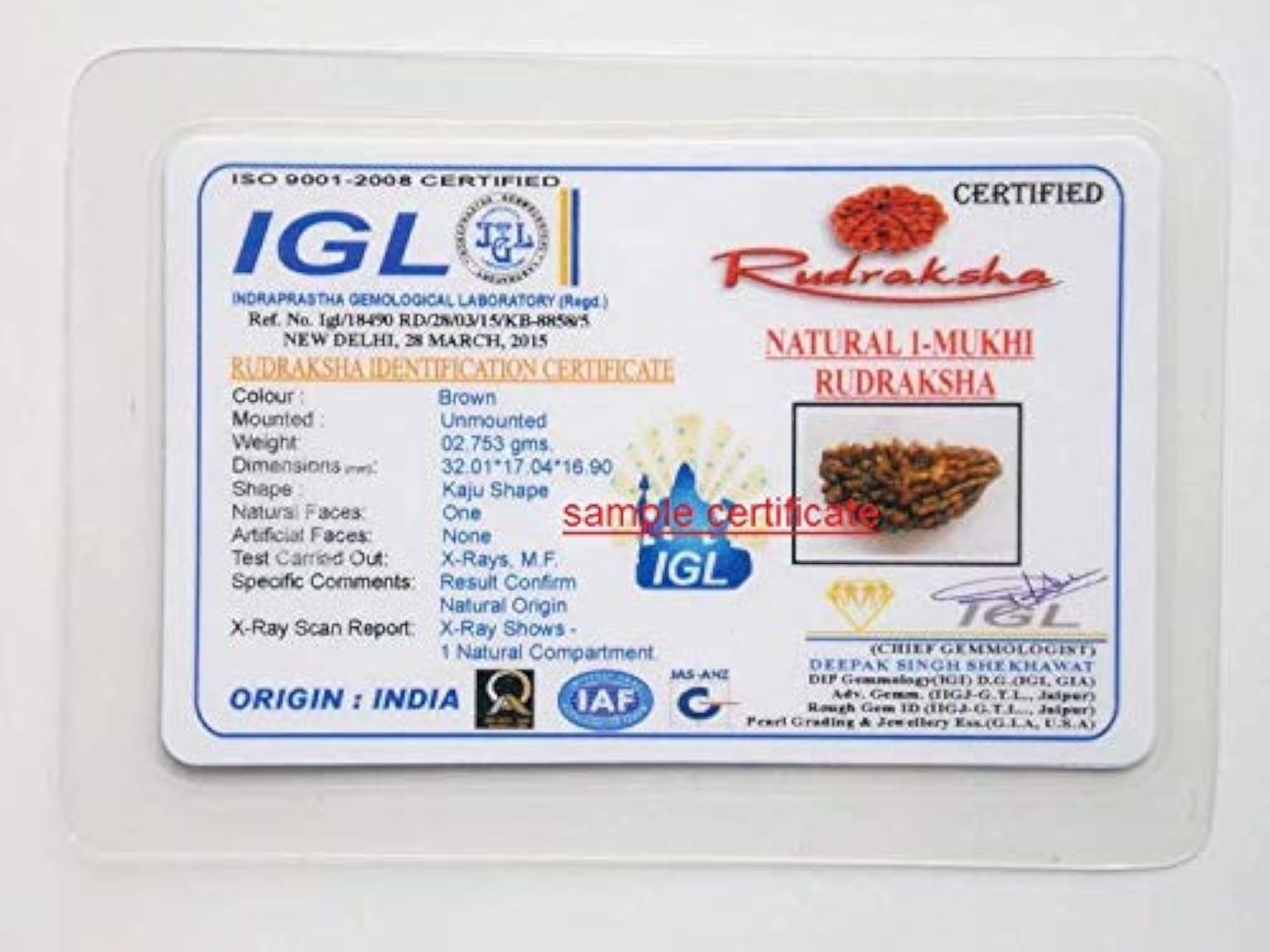 1 Mukhi Nepal Rudraksha Lab Certified Bead