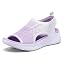 Purple Gradation