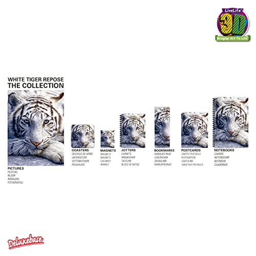 Deluxebase Calamita 3D LiveLife - Riposo della