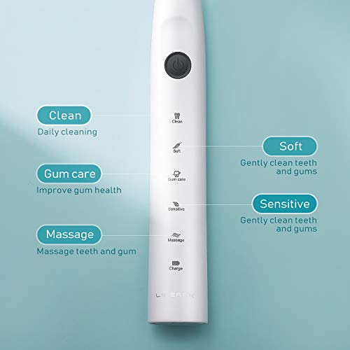 Liberex Water Flosser and Sonic Electric Toothbrush Combo - Family Oral Care Teeth Cleaner Set with USB Wireless Rechargeable Dock, 8 Multifunctional Jet Tips and Brush Head for Braces Teeth Cleaning