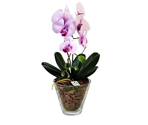 Arranjo Orquídea Seda Toque Real em Vaso Vidro Polonês 49x25