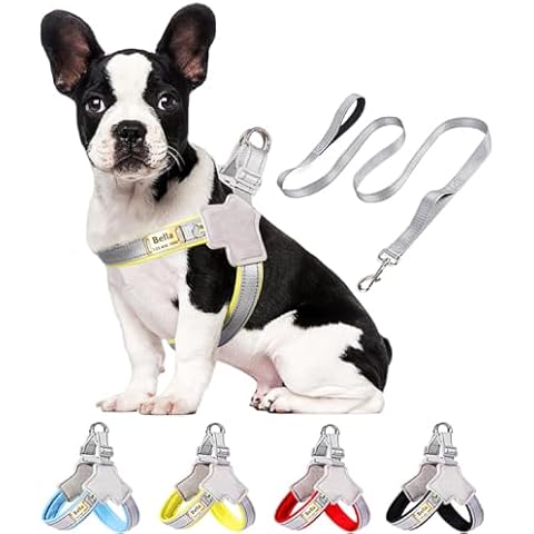 Moonpet Personalized Custom Customized Step in Dog Harness with Leash Set with Dog Name and Phone Number/Dog Harness for Puppy X-Small Small Medium Large Dogs Cover